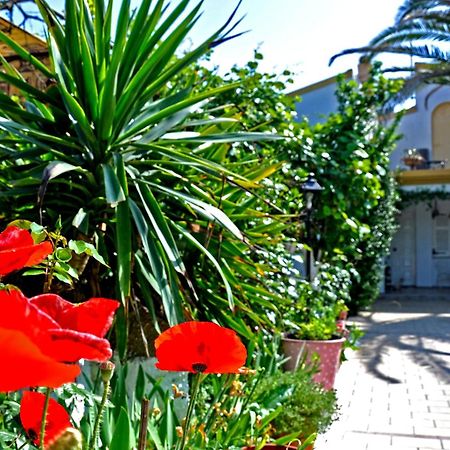 Villa Elena Studios Dassiá Exteriér fotografie