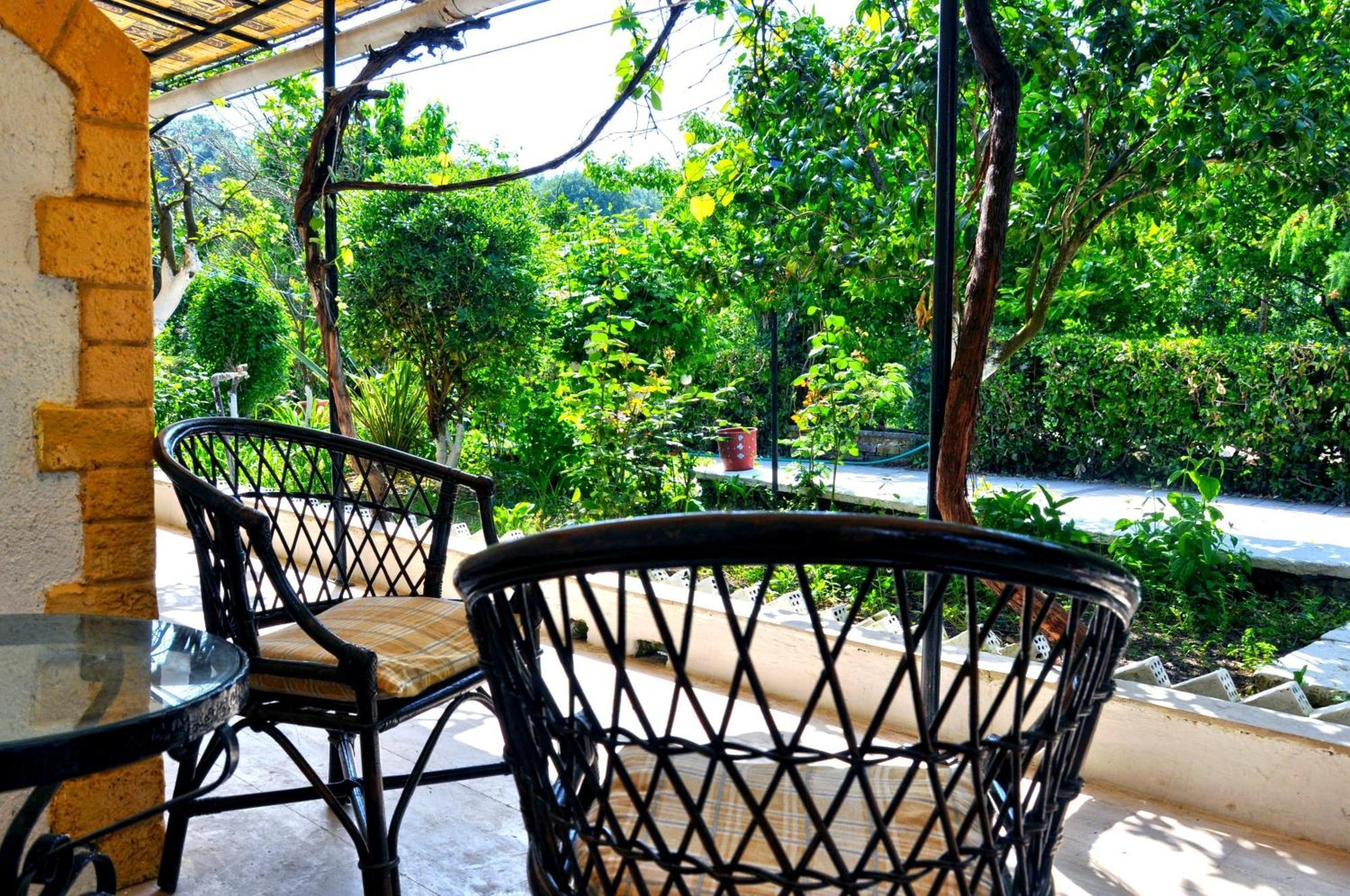 Villa Elena Studios Dassiá Exteriér fotografie