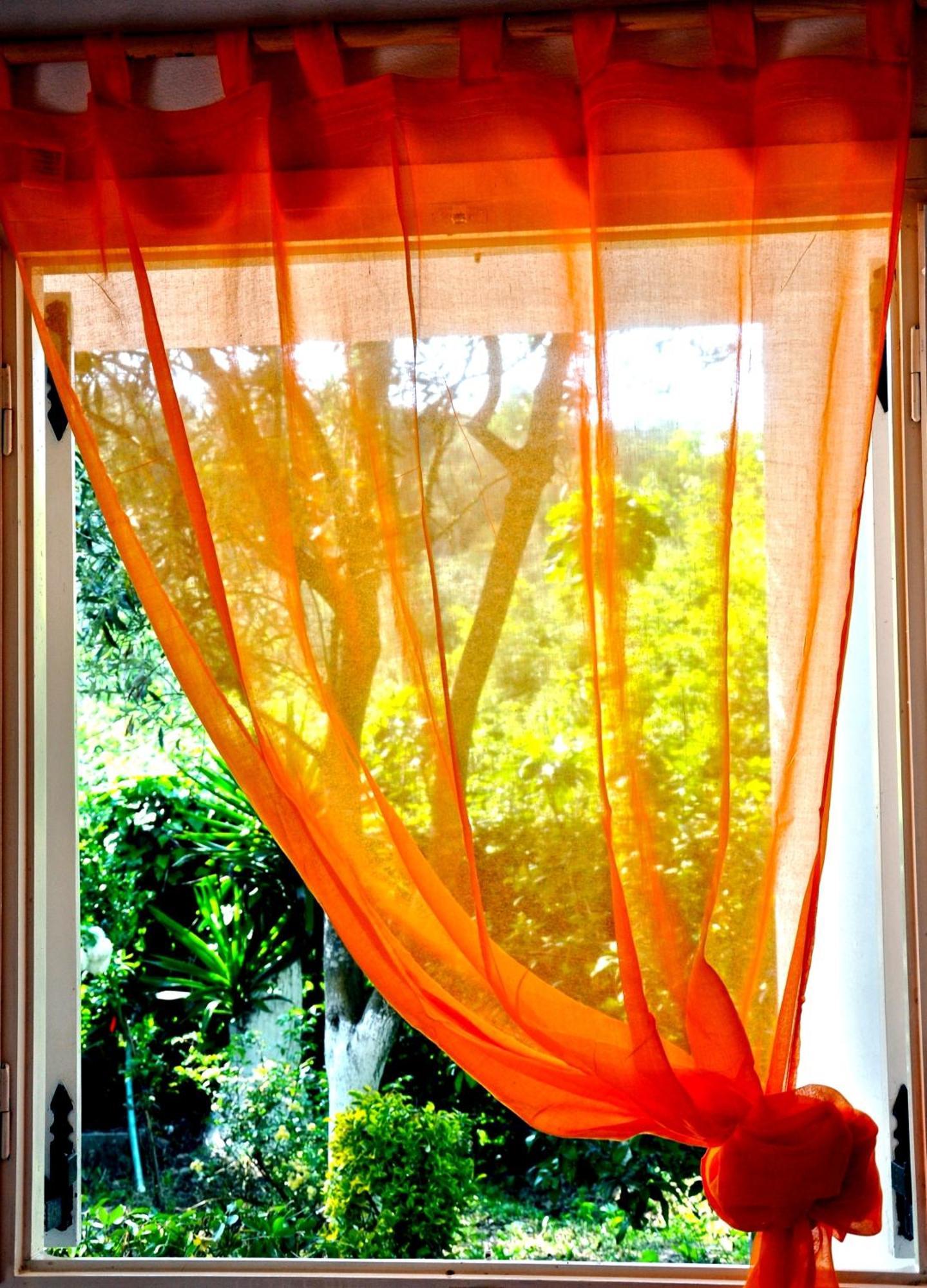 Villa Elena Studios Dassiá Exteriér fotografie